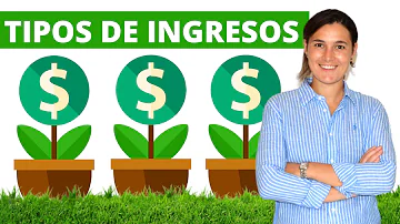 ¿Cuáles son los diferentes tipos de ingresos?