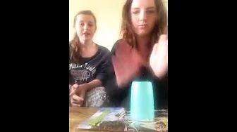 the cup song