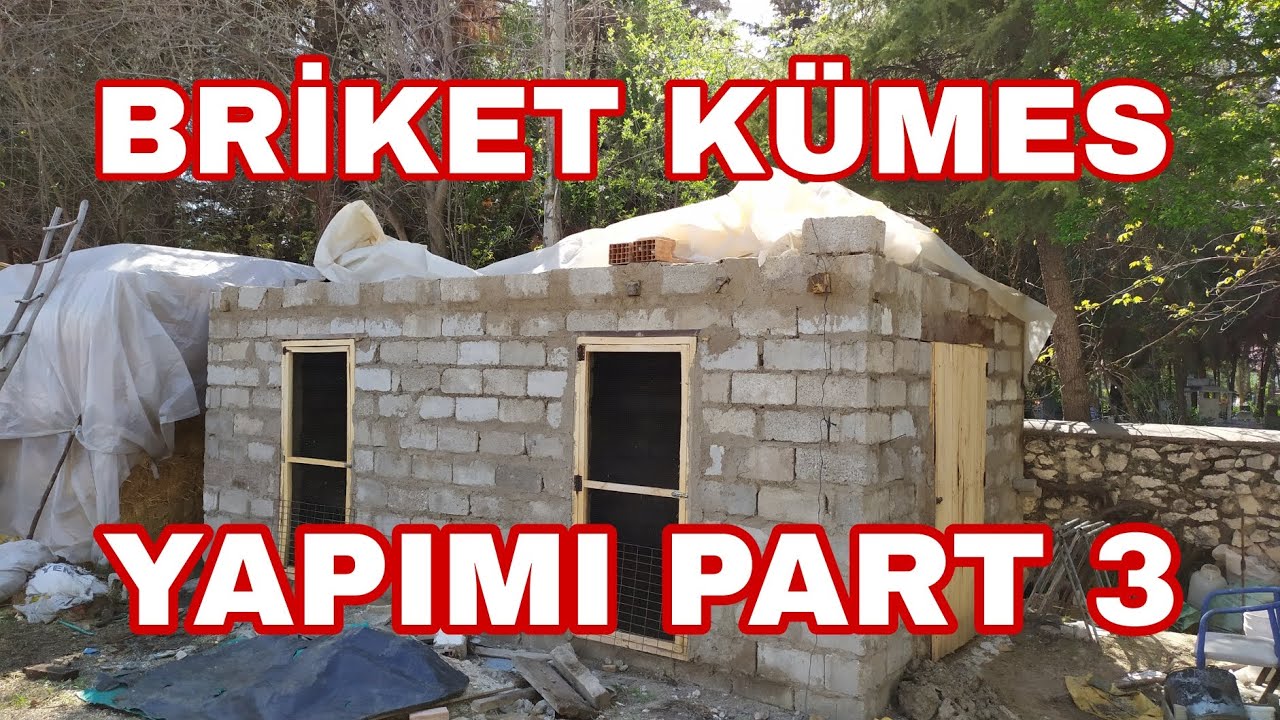 BRİKET  KÜMES YAPIMI PART 3 / Tavan ve kapılar bitti./basit kümes