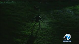 K-9 helps take down suspect after chase, standoff in Woodland Hills | ABC7