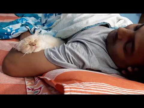 Fairy is sleeping with cuteness | Fairy's most beautiful sleeping style | RARA lifestyle |