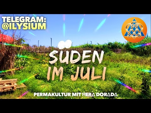 @Ilysium ? SÜD-Seite #Juli 2022 ?