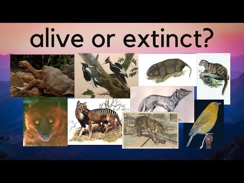 Ten Extinct Animals that Might Still be Alive