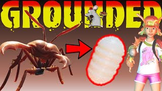 Grounded Guide - How To Get Ant Eggs! Why Do They Go Missing