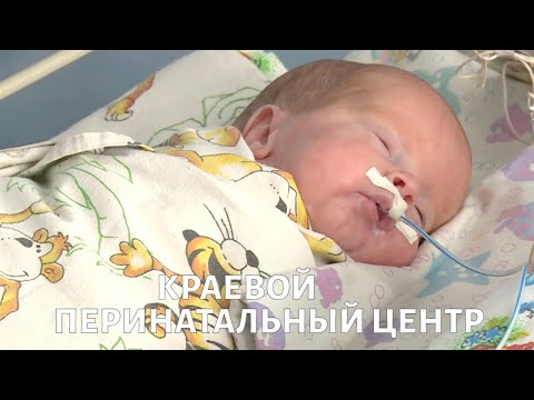 Краевой Перинатальный Центр: кого лечат в отделении катамнеза?