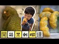 【在家日常】黑刺榴槤 小朋友都愛食｜Durian opening FAIL | ⟪«YouMoLin»⟫