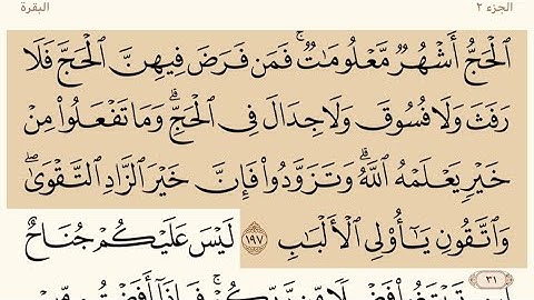 صفحه رقم 31 من القران الكريم بصوت الشيخ ياسر الدوسري