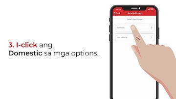 ML Wallet How to Receive Money DOMESTIC