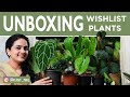 Unboxing wish list plants from an Instagram seller (Rare plants India) | @plantmail