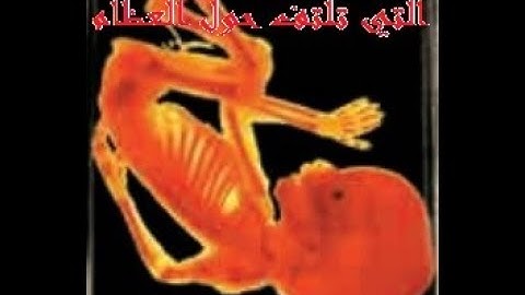 HSD Coran 23-سورة المؤمنون-آية 14--بصوت إدريس الحسني السبطي