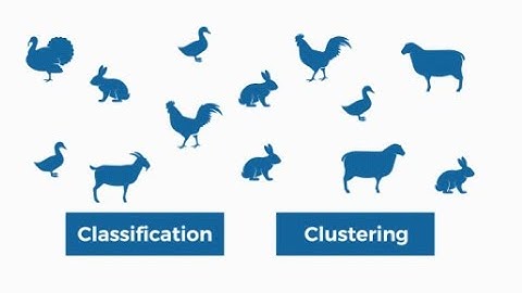 Video#1, Lesson#1: Introduction to Clustering