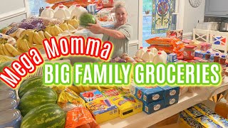 AUGUST GROCERY HAUL FOR MY BIG FAMILY BEFORE SURGERY!!   Buying Groceries for My BIG Family 2021!