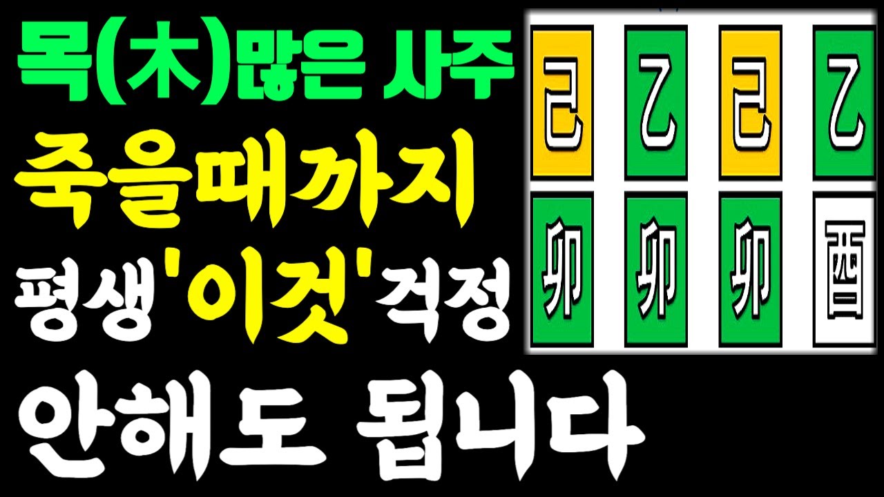 목(木)이 많은 사주, 인생 풀리는 방법이 따로 있다?