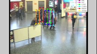 Celebrity Occlusion Handling in Single Target Tracking Profile