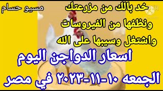 اسعار الفراخ البيضاء اليوم اسعار الدواجن اليوم الجمعه ١٠-١١-٢٠٢٣ في مصر