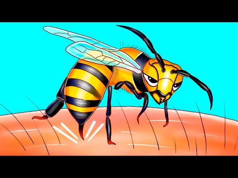 That's Why Bees Can Only Sting Once