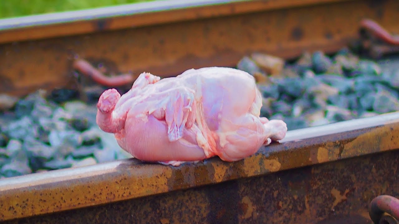 CHICKEN vs TRAIN : Epic Experiment