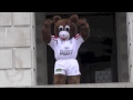 Sparky's training regime