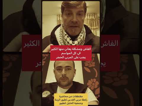 لماذا يعاني مربي طيور الكناري من الفاش