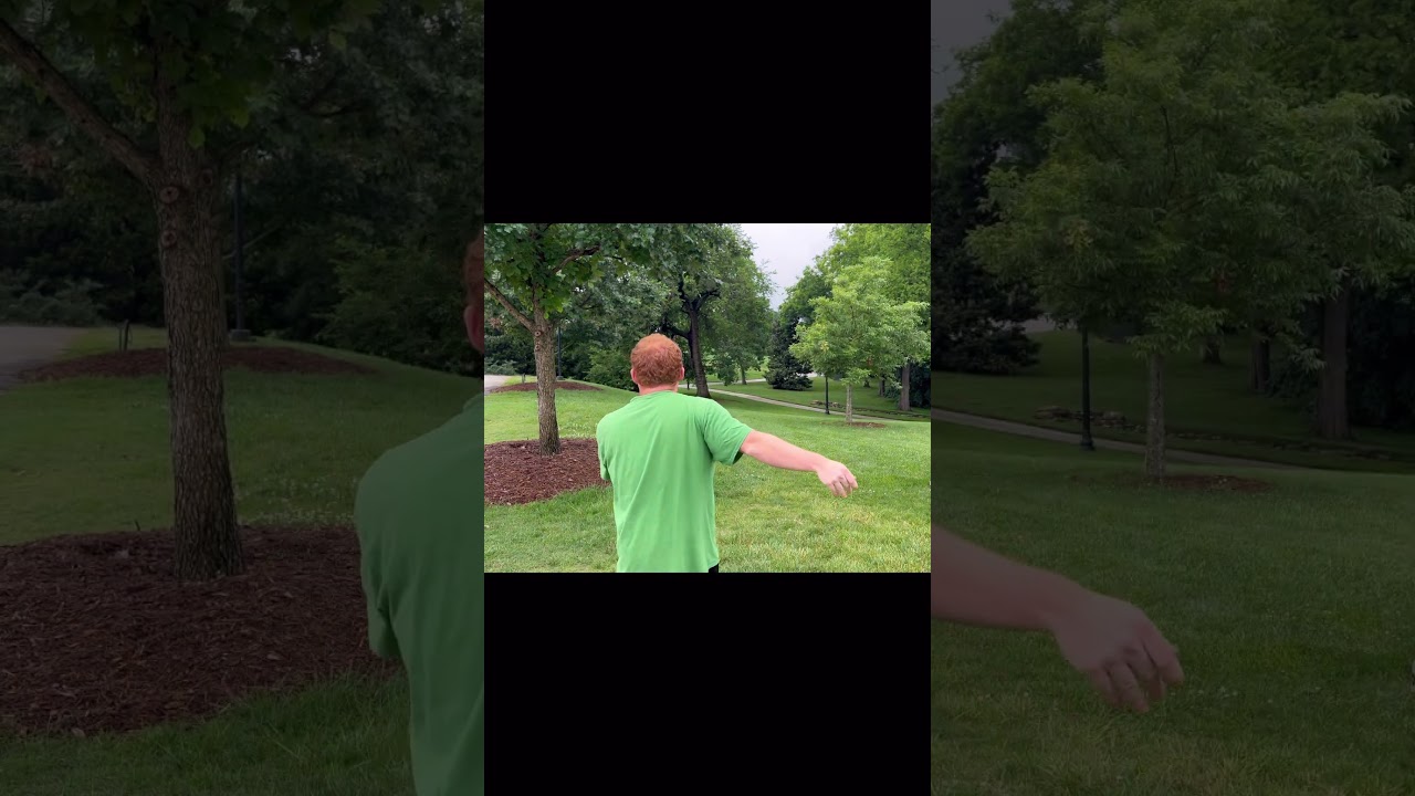 A little kiss off the tree to be parked! 