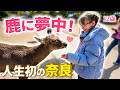 【奈良】動物大好きな12歳の妹が人生初の奈良公園に行った結果…