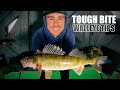 Catch walleyes when the bite is tough ft tjsguideservice 