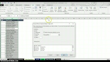 EXCEL VIDEO: EXCEL TRICK FOR TEXT-TO-COLUMN WIZARD