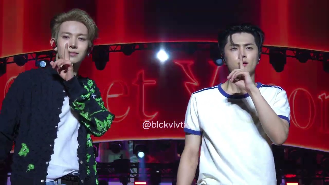 250830 ENHYPEN Walk The Line in Brussels Scream + Tamed-Dashed + Sweet Venom + GBOGH 4k fancam