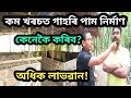 How to start a pig farm in low budget in Assam | assam piggery farm| Assamese farm|pig farm in assam