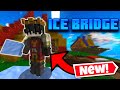 Bedwars Has A New BROKEN Item
