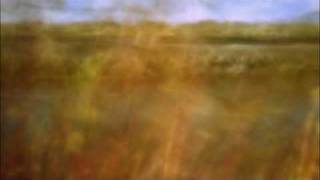 Your Photos on QUEST - Erin Malone | KQED QUEST