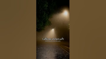 أكتب شي تؤجر عليه🤍|            القارئ _عبد الرحمن_مسعد| #سورة_العنكبوت  #لاإله_الاالله  #قرآن