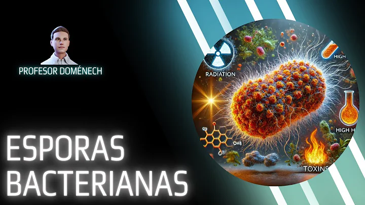ENDOSPORAS ¿Cómo Sobreviven las Bacterias en Condiciones EXTREMAS?