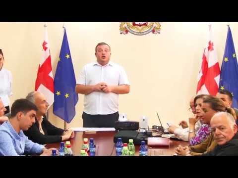 შეხვედრა გურიის რწმუნებულებთან