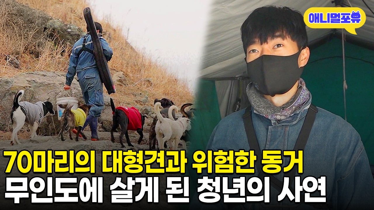 70마리 강아지 뒷바라지에 바쁘다 바빠💦 30살 청년이 무인도에 살게 된 사연ㅣKBS 류수영의 동물티비 210212 방송