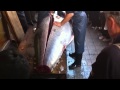 Japanese Cutting BIG Tuna in the Streets of Tokyo JAPAN