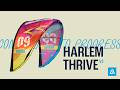 Harlem Thrive V2 – High-Performance Freeride / Big Air / Wave | Product Video