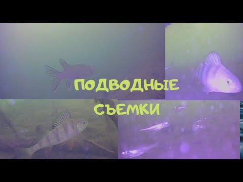 Подводные съемки бюджетной камерой)