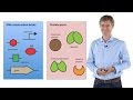 Synthetic Biology: Principles and Applications - Jan Roelof van der Meer