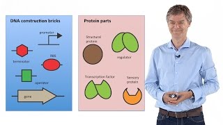 Synthetic Biology: Principles and Applications - Jan Roelof van der Meer screenshot 4