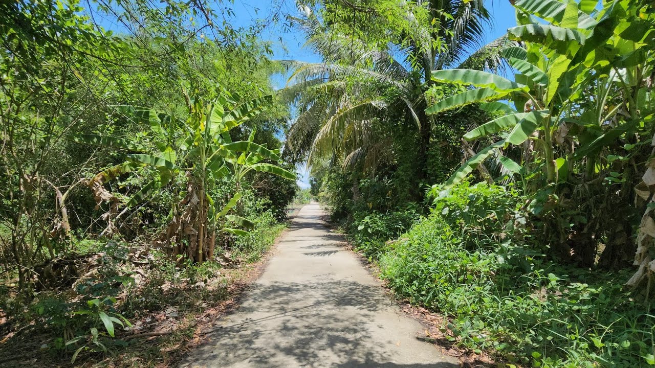 Nhà hoang nơi vắng hoe cỏ cây mọc mịt mù giường tủ thì mục nát