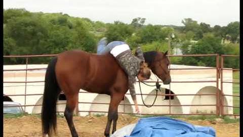 Valley View Ranch    - Cool Kool Party -     *For up-to-date info, price, etc., go to our website*