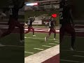 James Jones rushes for a 46-yard touchdown vs. Mercyhurst Lakers