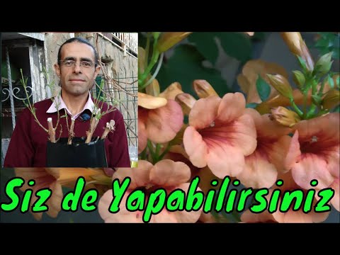 Video: Kare boru çeliğini nasıl ölçersiniz?