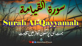 075. Surah Al Qayyamah | Calming Recitation in Beautiful Voice | @quranmajeedtilawatt