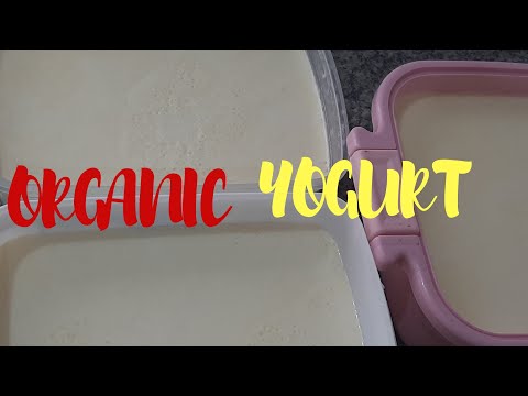 Video: Paano Madaling Gumawa Ng Inuming Yogurt