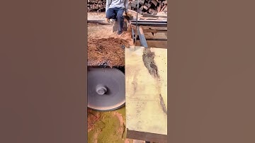Cutting a Large Log into Slabs Using a Powerful Circular Saw Machine