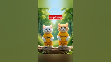 duo kucing lucu#shorts#fypシ#kitten