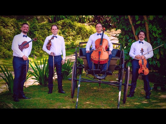 Photograph Ed Sheeran - Quarteto de Cordas Mafra