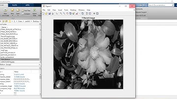 DCT-BASED WATERMARKING METHOD FOR COMPRESSED IMAGES USING GENETIC ALGORITHM